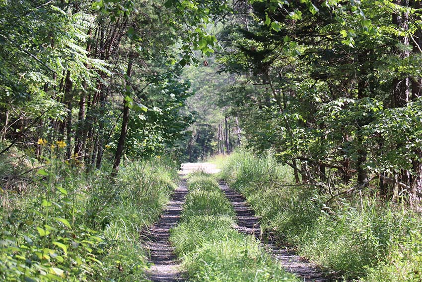 Scene on the Craig Botetourt Scenic Trail