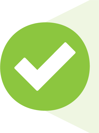 Strategy icon: checkmark